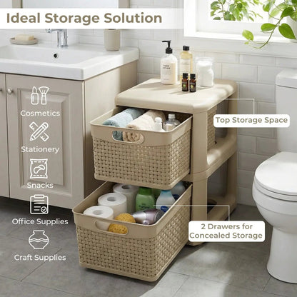 2-Drawer Storage Organizer With Wicker Patterns
