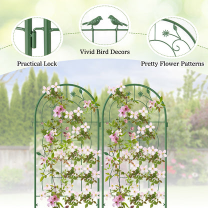 2 Pack 71 x 20 Inch Metal Garden Trellis Rustproof Plant Support for Climbing Plants