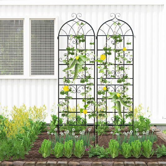 2 Pack 71" x 20" Metal Garden Trellis for Outdoor Climbing Plants