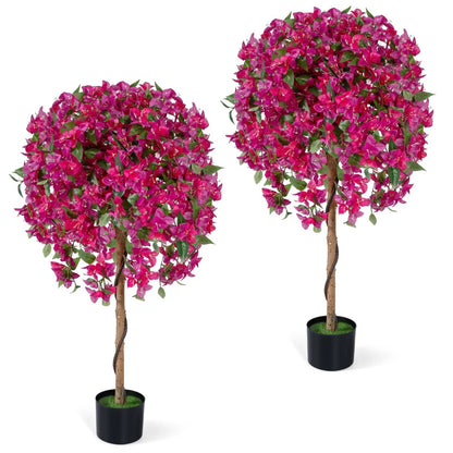 2 Pack Azalea Trees With Blooming Flowers