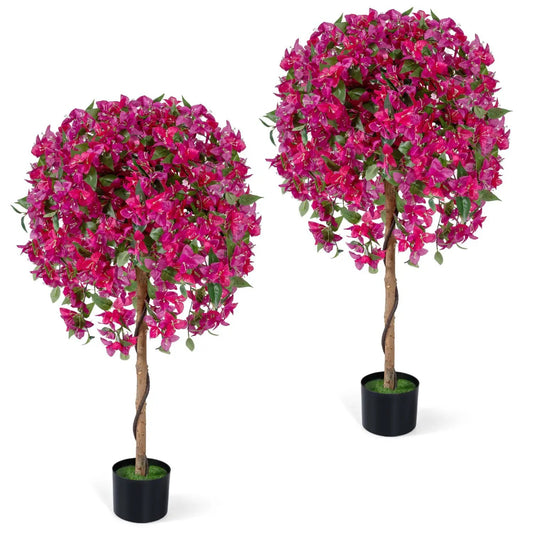 2 Pack Azalea Trees With Blooming Flowers