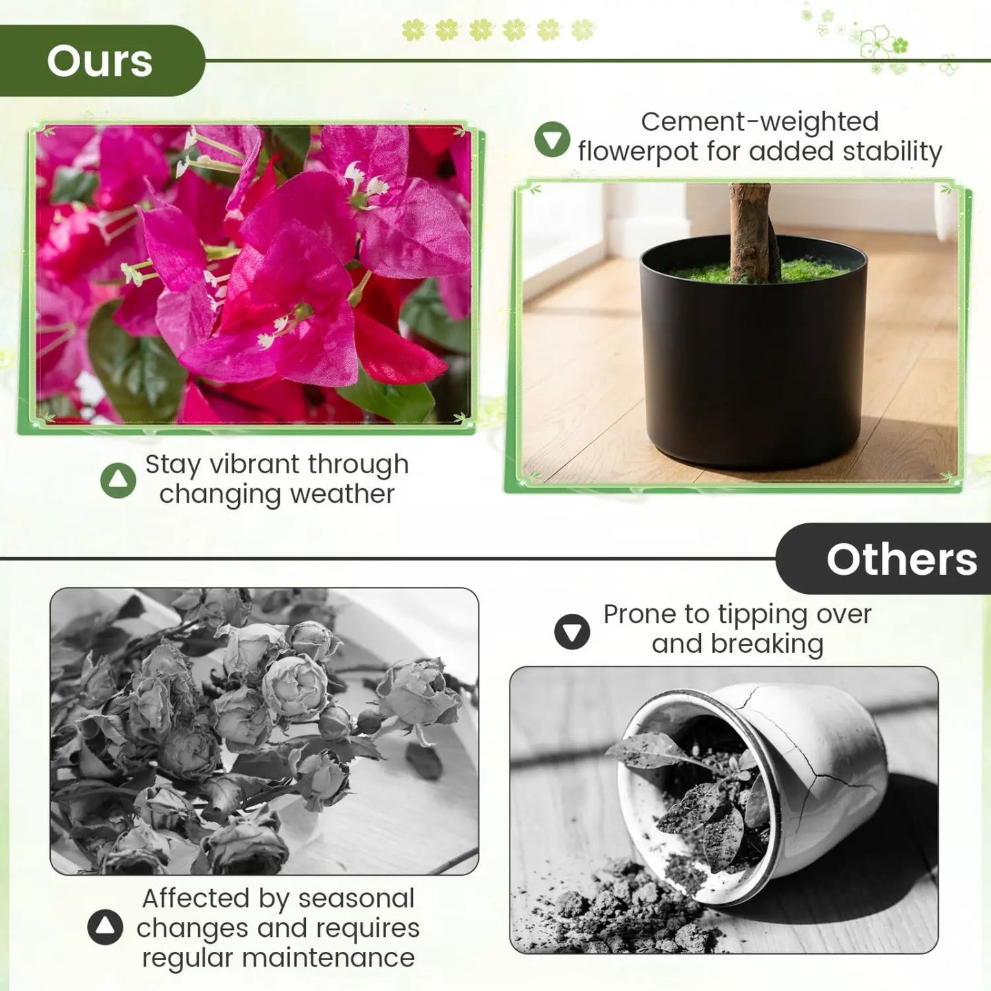 2 Pack Azalea Trees With Blooming Flowers