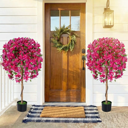 2 Pack Azalea Trees With Blooming Flowers