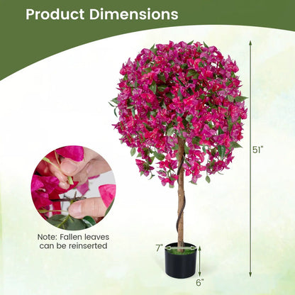 2 Pack Azalea Trees With Blooming Flowers
