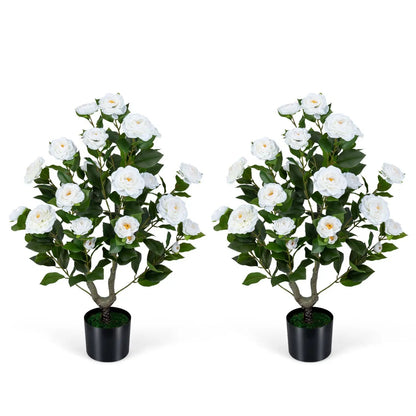 2 Pack Camellia Tree in Cement Filled Pot