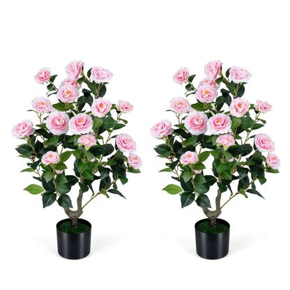 2 Pack Camellia Tree in Cement Filled Pot