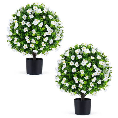 Eucalyptus Topiary Trees With Cement Planter