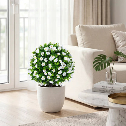 Eucalyptus Topiary Trees With Cement Planter