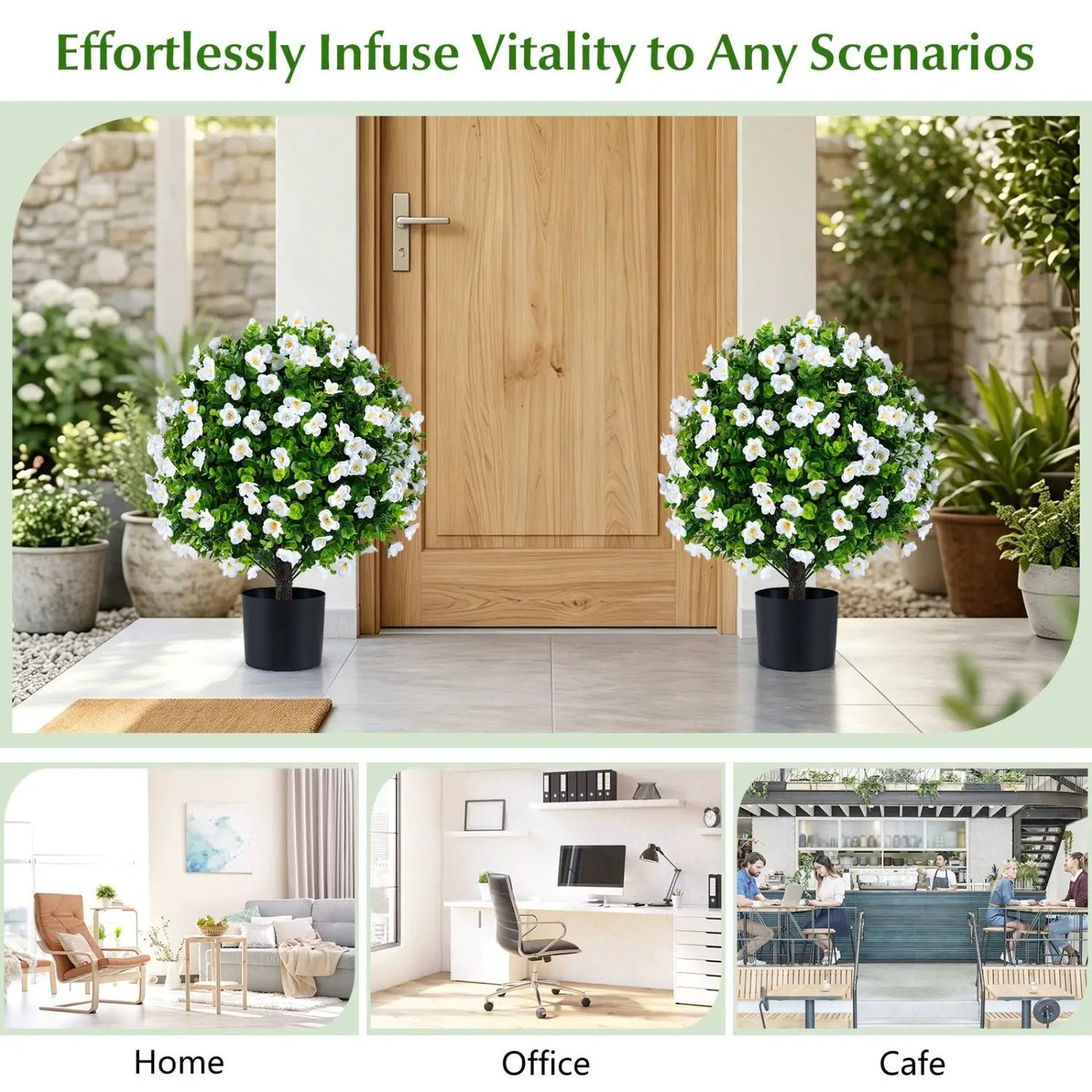 Eucalyptus Topiary Trees With Cement Planter