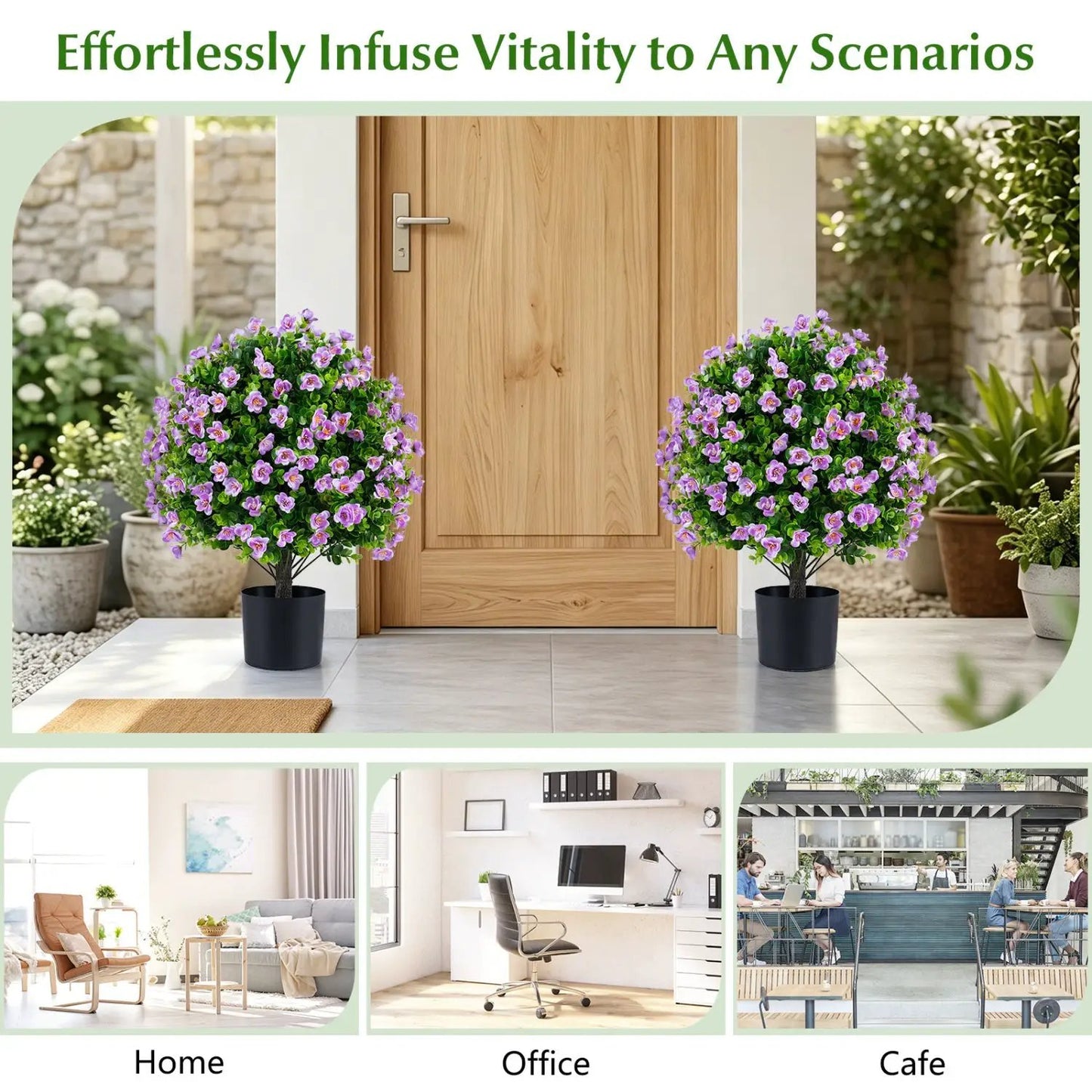 Eucalyptus Topiary Trees With Cement Planter