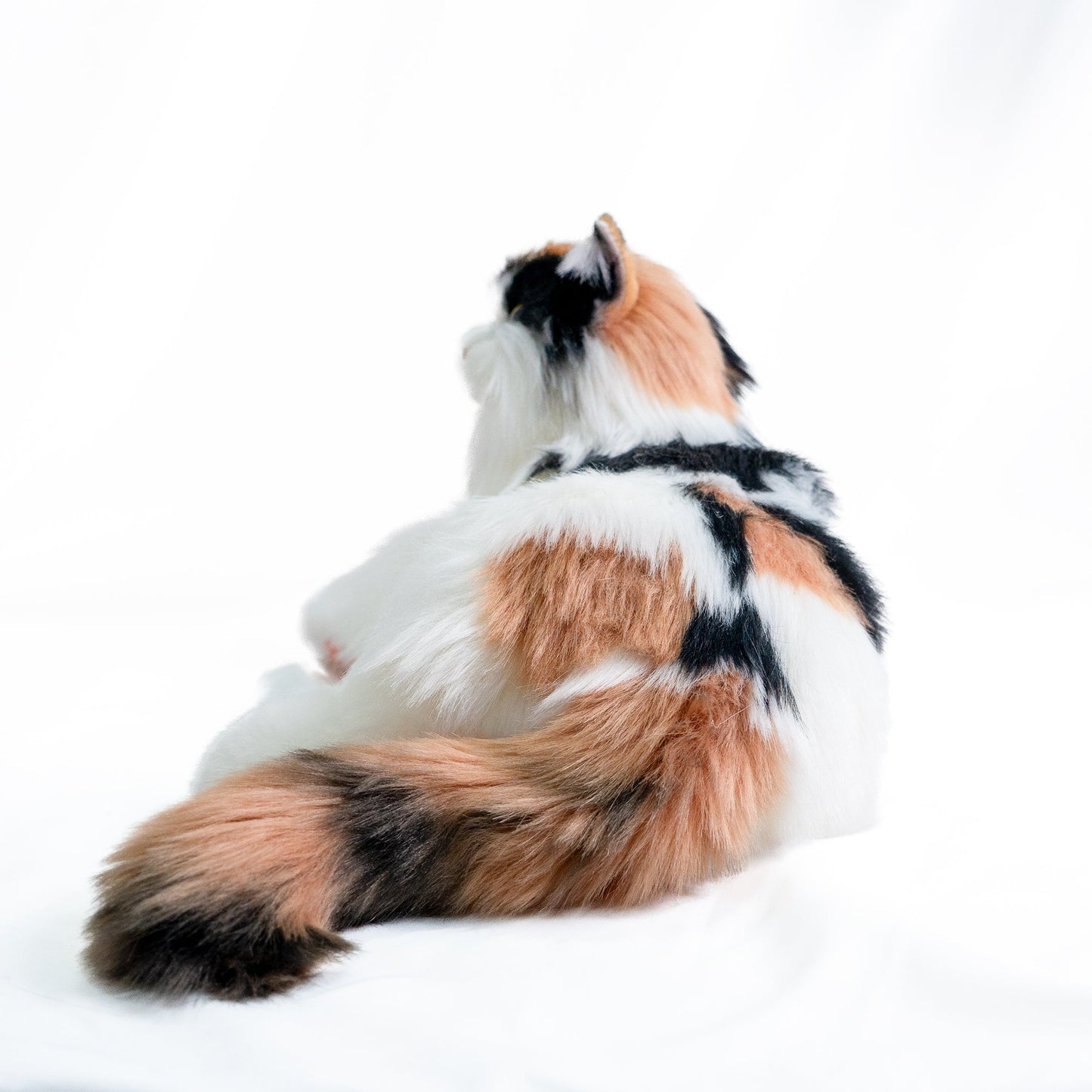 Respiration Calico Percy 2.0- Ronronnement cardiaque, voix Robonic Cat