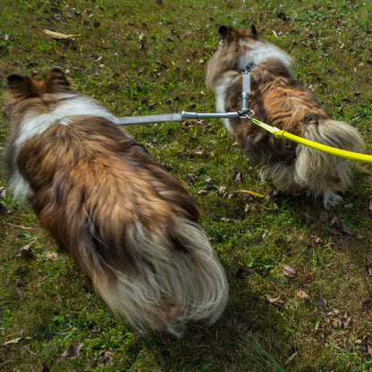 Crazycouplr 2 Dogs On 1 Leash No Tangle Walking