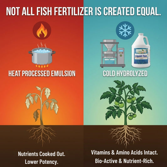 Organic Liquid Fish Fertilizer – NPK 2-3-1, GS Plant Foods, heated emulsion & cold hydrolyzed on Tampa Home & Garden Store