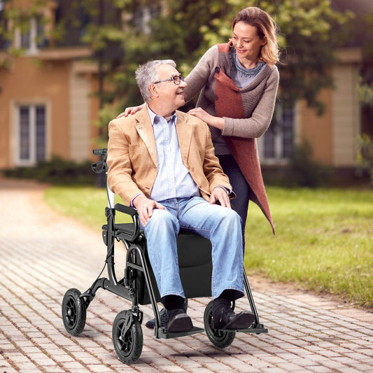 2-in-1 Foldable Rollator Walker with Seat abd 9 Inch Pneumatic Tires for Seniors - Tampa Home & Garden Store