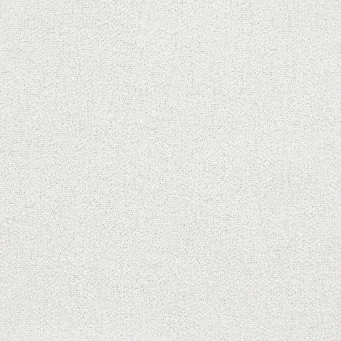 Beige carpet texture close-up with loop pile pattern for interior flooring on Tampa Home & Garden Store