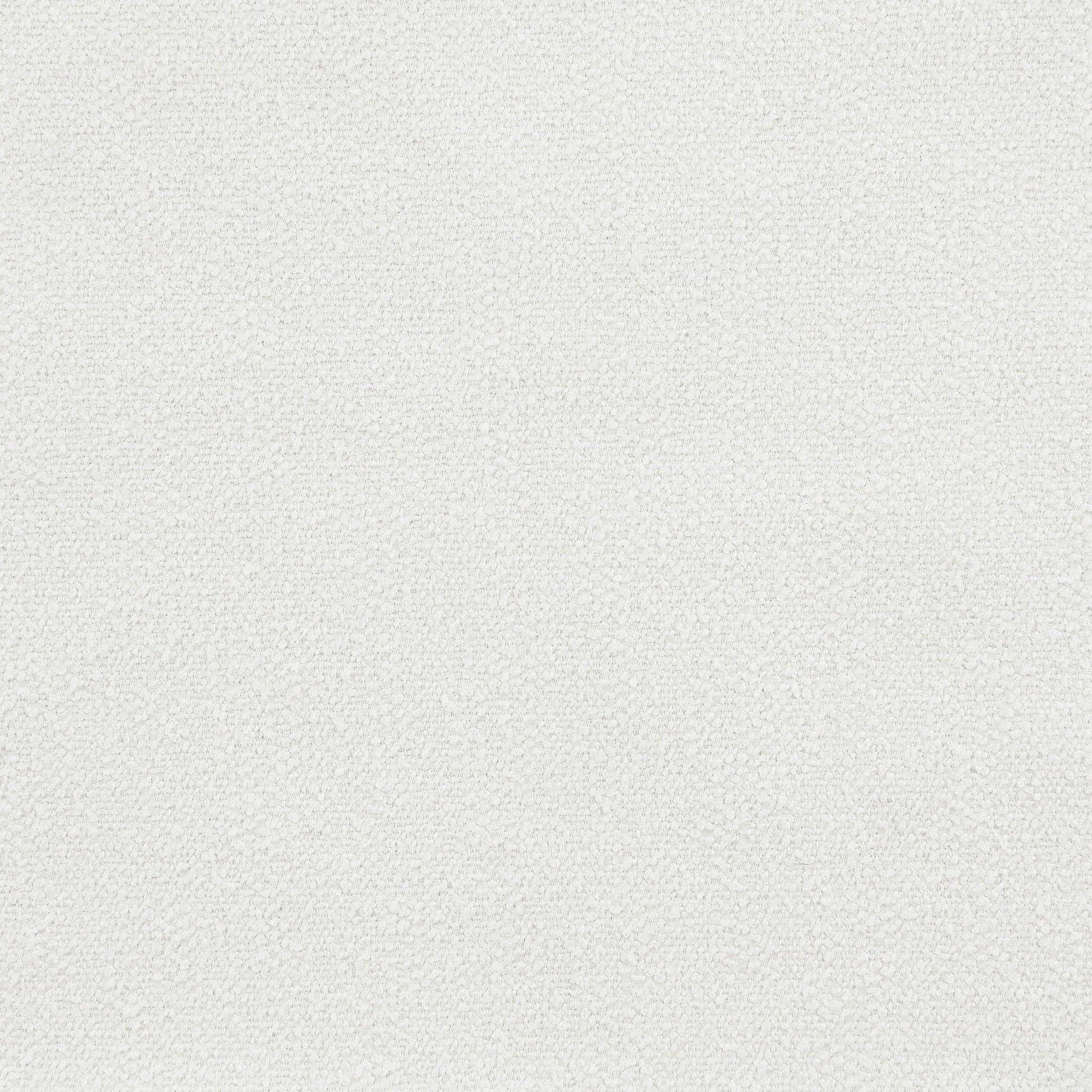 Beige carpet texture close-up with loop pile pattern for interior flooring on Tampa Home & Garden Store