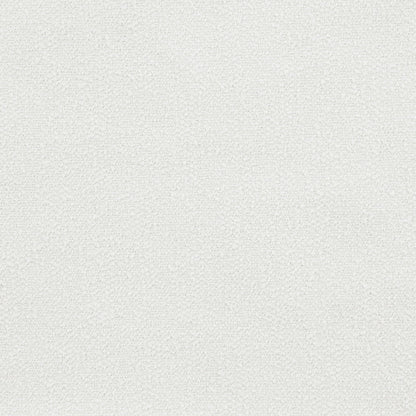 Beige carpet texture close-up with loop pile pattern for interior flooring on Tampa Home & Garden Store