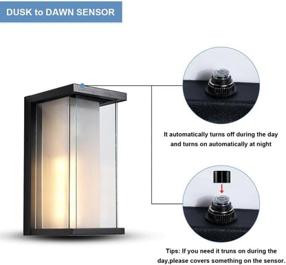Tempered Glass and Dusk to Dawn Outdoor Sconce