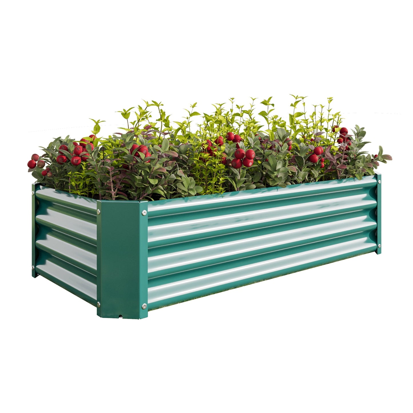 Metal raised garden bed rectangle 4×2×1ft, green metal with leafy plants and red berries on Tampa Home & Garden Store
