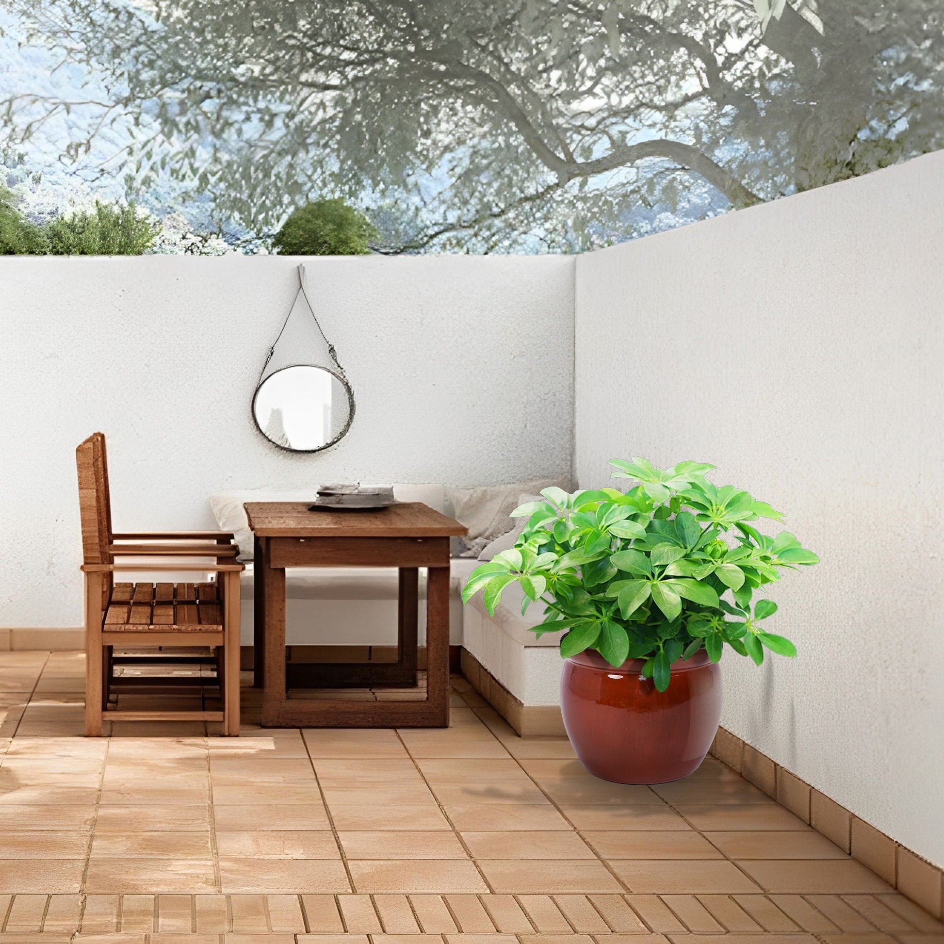 3-piece ceramic flowerpot planter set in glossy brown with lush green plant on a tiled patio on Tampa Home & Garden Store