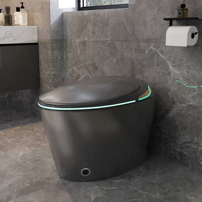 Smart Toilet with ceramic bidet, matte black finish, LED glow base by HouseOfZazla on Tampa Home & Garden Store