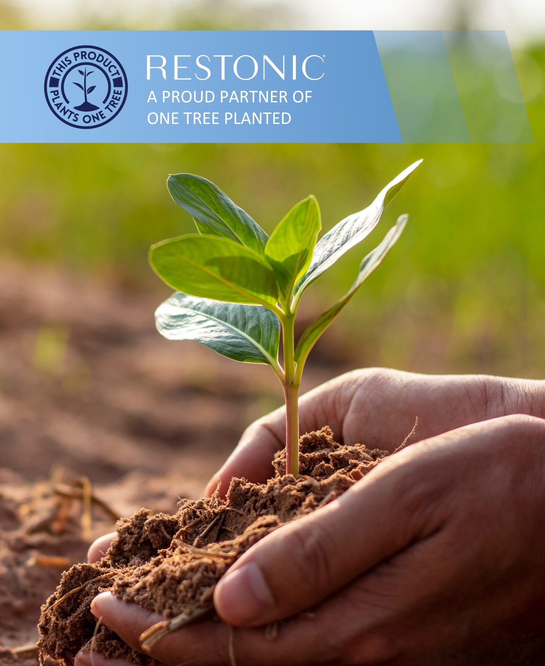 Restonic ComfortCare Hybrid Restful Nights Firm Mattress seedling in soil held by hands on Tampa Home & Garden Store