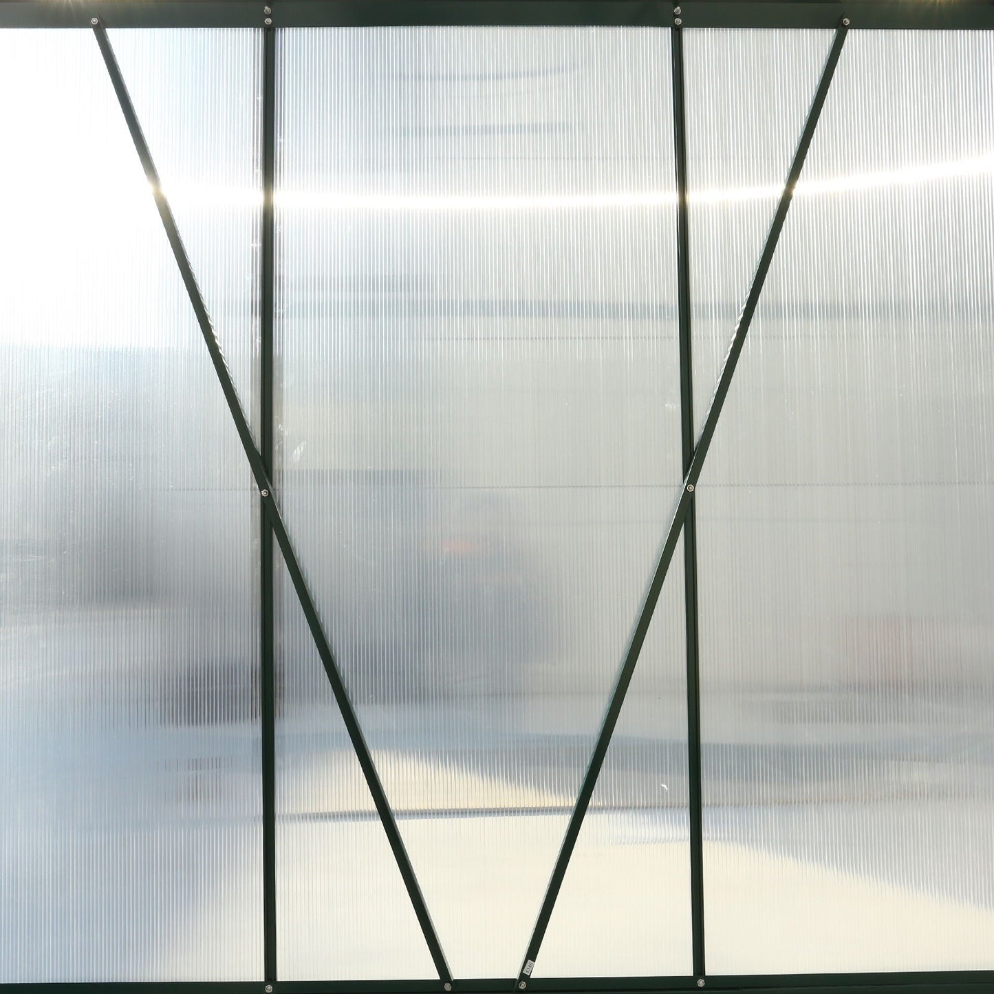 Heavy Duty Polycarbonate Greenhouse Kit and Door