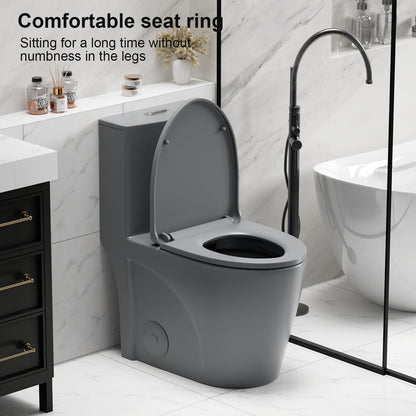 HouseOfZazla 1-piece toilet with tornado and dual-flush, ADA height, gray finish on Tampa Home & Garden Store