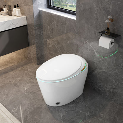 Smart toilet with ceramic bidet in white porcelain with teal LED ring in marble bathroom on Tampa Home & Garden Store