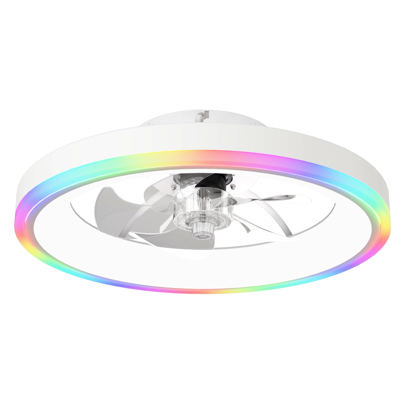19.7in Modern RGB Ceiling Fan with Lights white housing, rainbow LED ring on Tampa Home & Garden Store