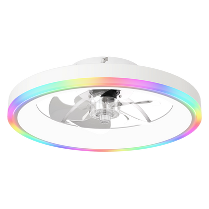 19.7in Modern RGB Ceiling Fan with Lights white housing, rainbow LED ring on Tampa Home & Garden Store