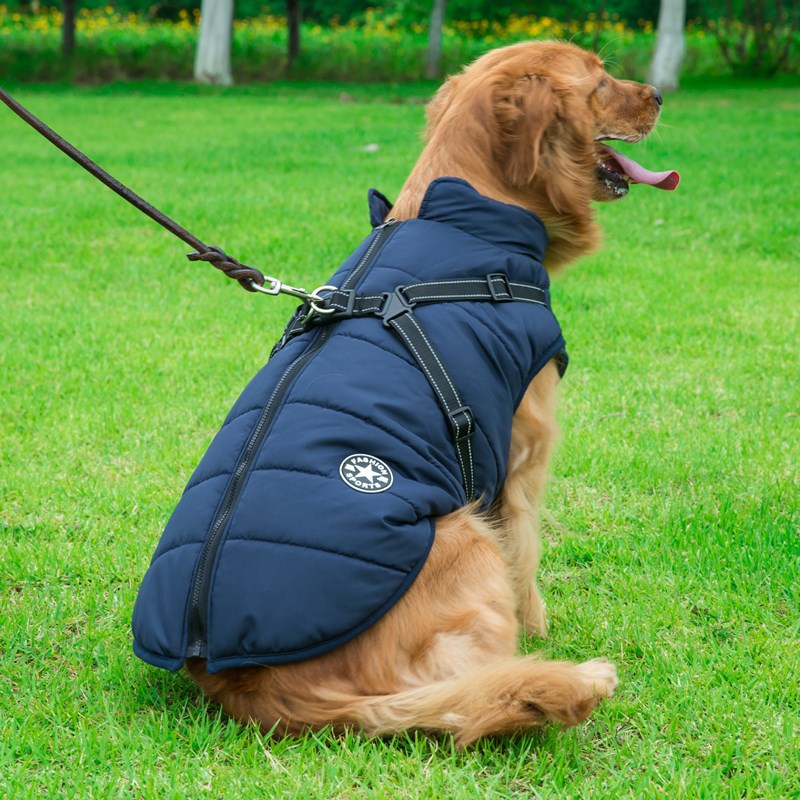 Pet Zen navy quilted hooded dog coat with harness straps, warm on Tampa Home & Garden Store