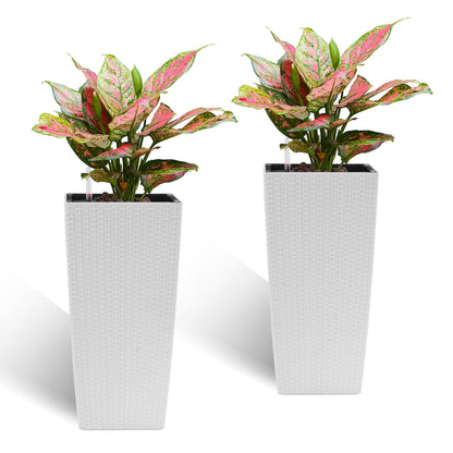 Indoor outdoor planter set of 2 with automatic watering, pink-leaved wicker planter HouseOfZazla on Tampa Home & Garden Store