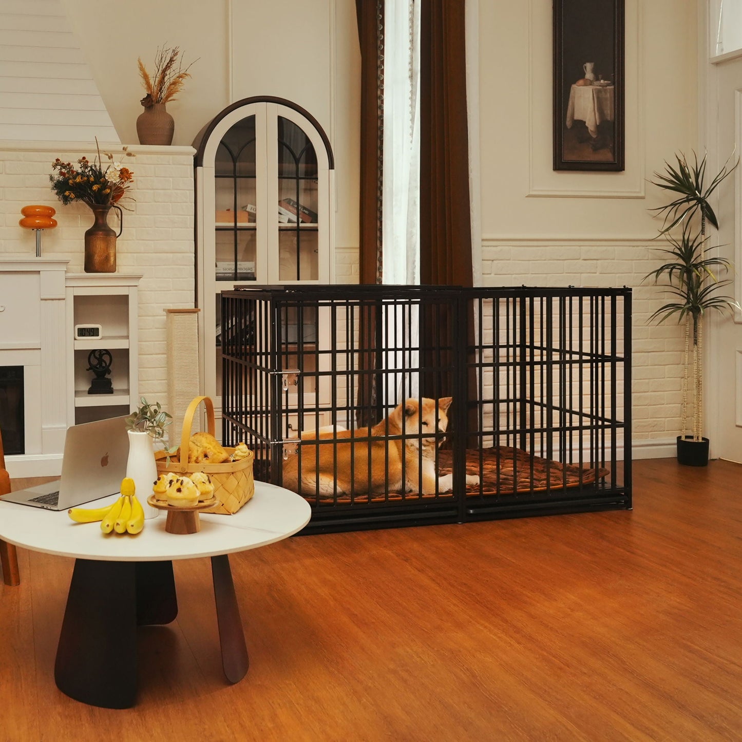 Extra Large black metal dog crate with dog lying on brown mat in living room on Tampa Home & Garden Store