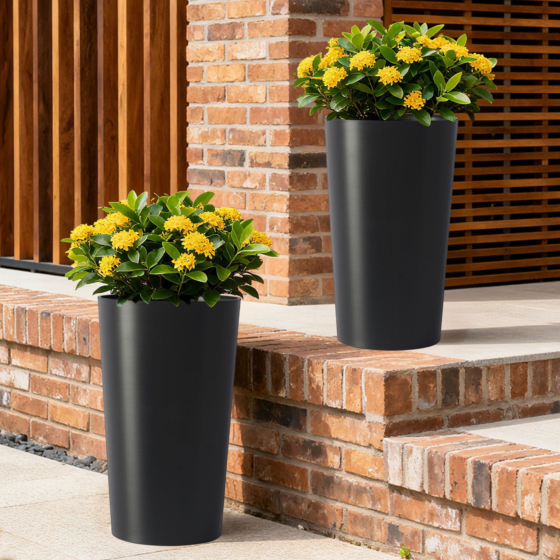 Planter For Outdoor black cylindrical planters with yellow flowering shrub, 2 pots on Tampa Home & Garden Store