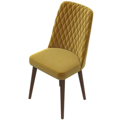 Katie Mid Century Modern Dining Chair Set