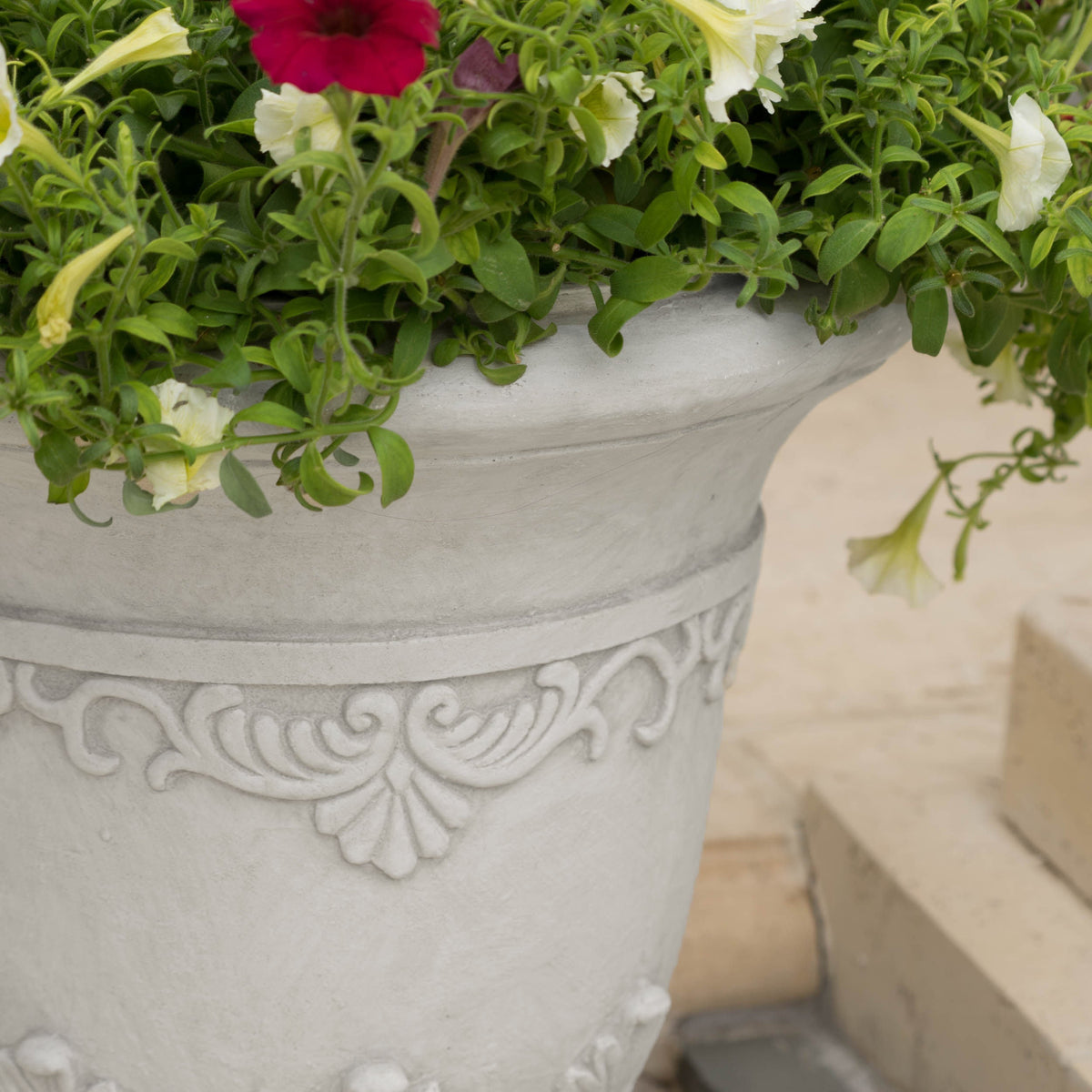 Moroccan urn planter in gray concrete with green foliage and pale white flowers HouseOfZazla on Tampa Home & Garden Store