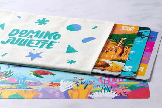 Travel Placemats 4 Pack for Kids Learning Fun