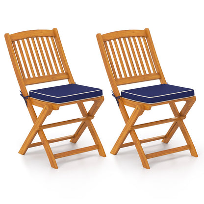 Outdoor Folding Chairs with Seat Cushions Set of 2 - Tampa Home & Garden Store