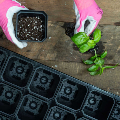 3.3" Heavy Duty Seed Starting Pots - Tampa Home & Garden Store