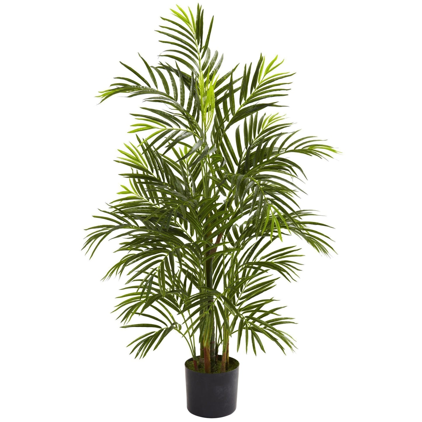 3.5' Areca Palm Tree UV Resistant (Indoor/Outdoor) - Tampa Home & Garden Store