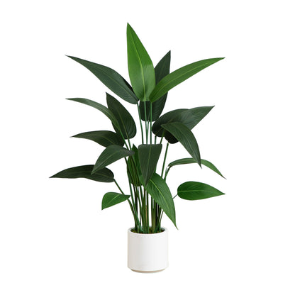 3.5'  Artificial Sky Bird Tree in White Decorative Planter - Tampa Home & Garden Store