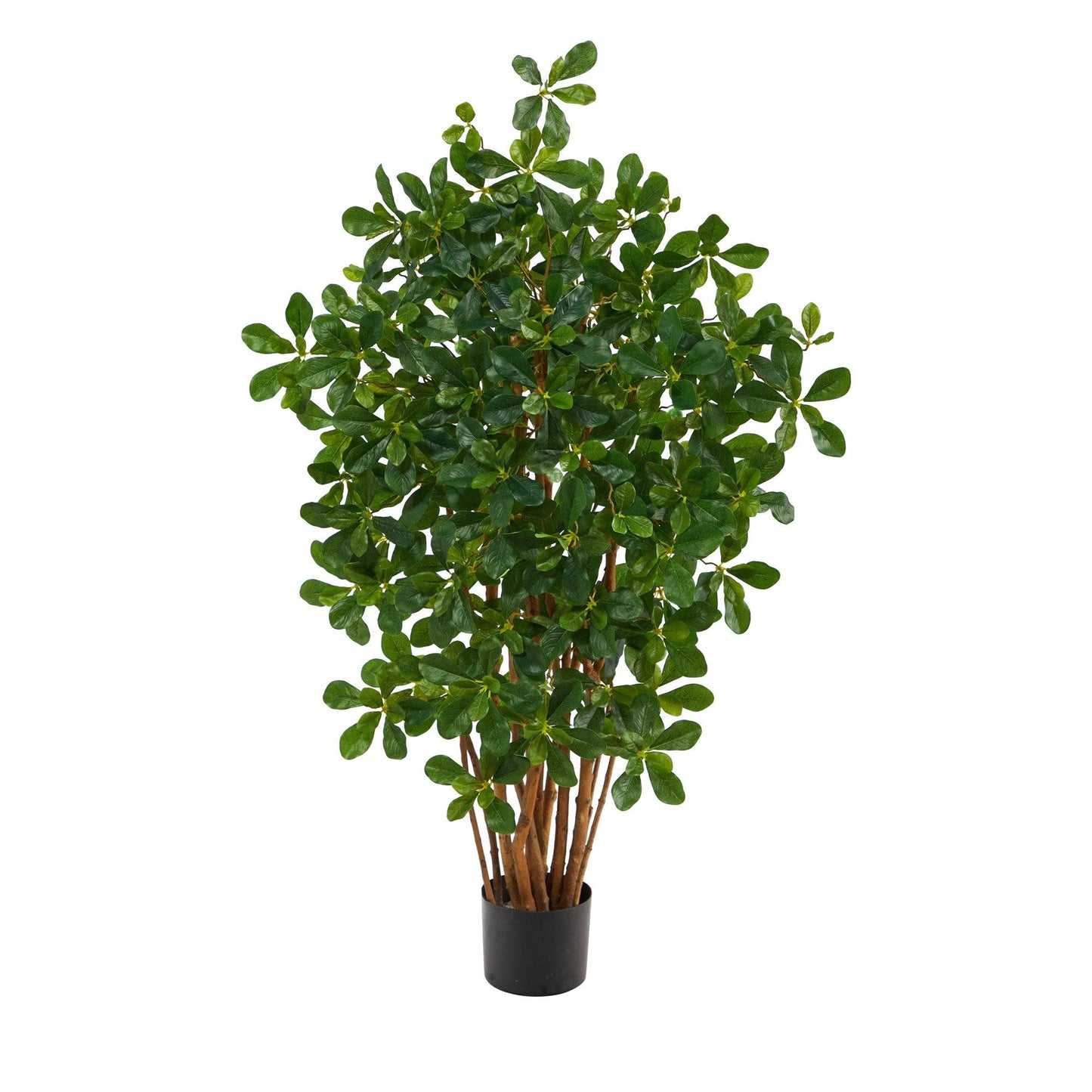 3.5’ Black Olive Artificial Tree - Tampa Home & Garden Store