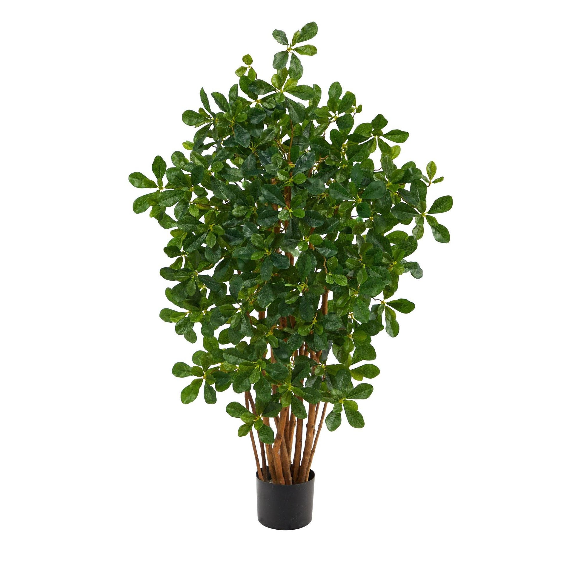 3.5’ Black Olive Artificial Tree - Tampa Home & Garden Store