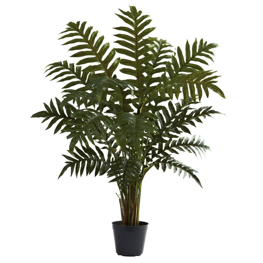 3.5’ Evergreen Plant - Tampa Home & Garden Store