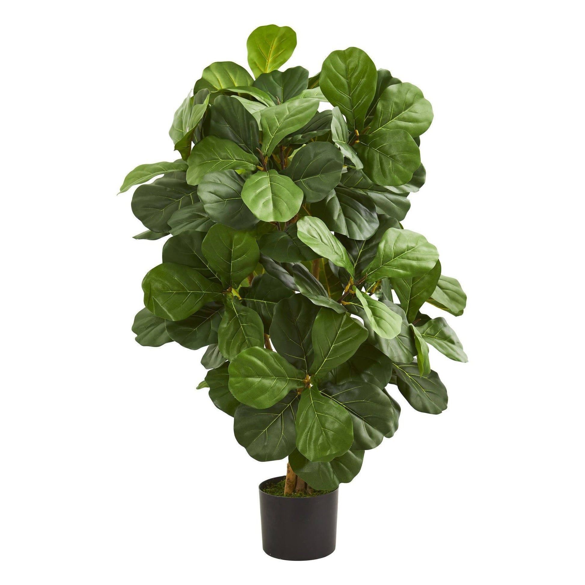 3.5’ Fiddle Leaf Artificial Tree - Tampa Home & Garden Store