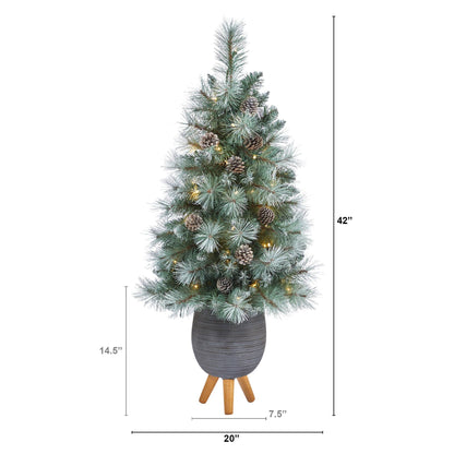 3.5’ Frosted Tip British Columbia Mountain Pine Artificial Christmas Tree - Tampa Home & Garden Store