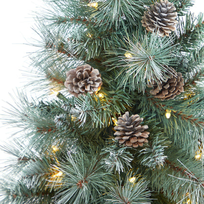 3.5’ Frosted Tip British Columbia Mountain Pine Artificial Christmas Tree - Tampa Home & Garden Store