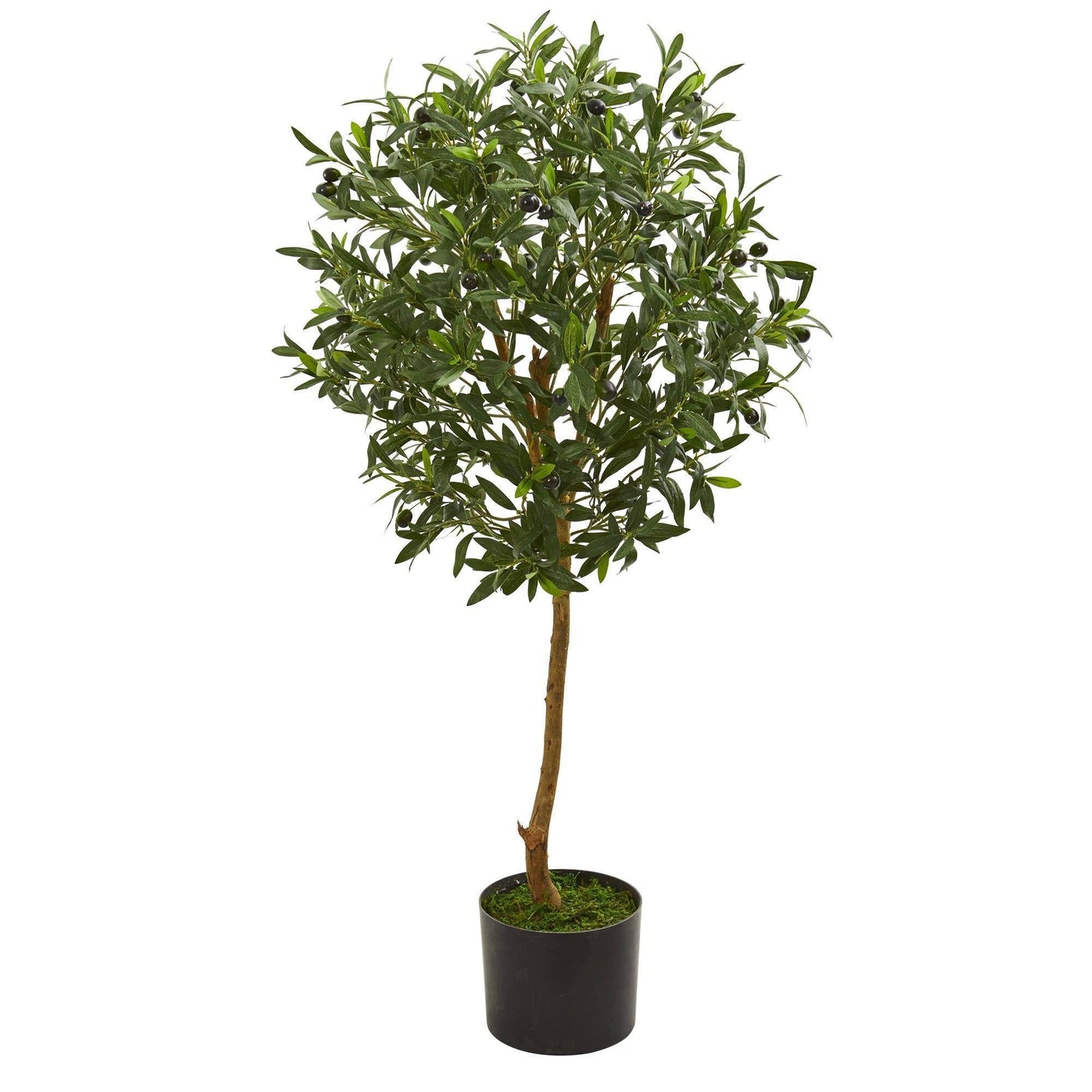 3.5’ Olive Artificial Tree in Nursery Planter - Tampa Home & Garden Store