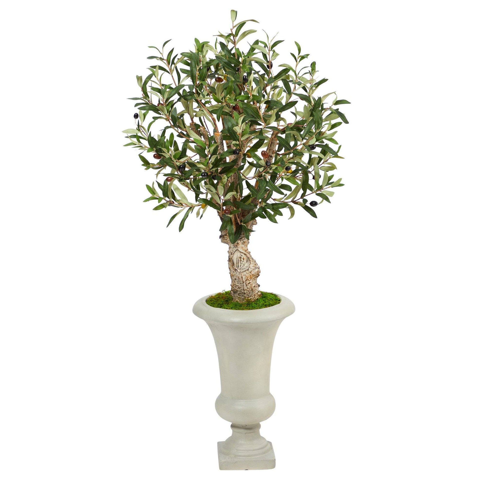 3.5’ Olive Artificial Tree in Sand Colored Urn - Tampa Home & Garden Store